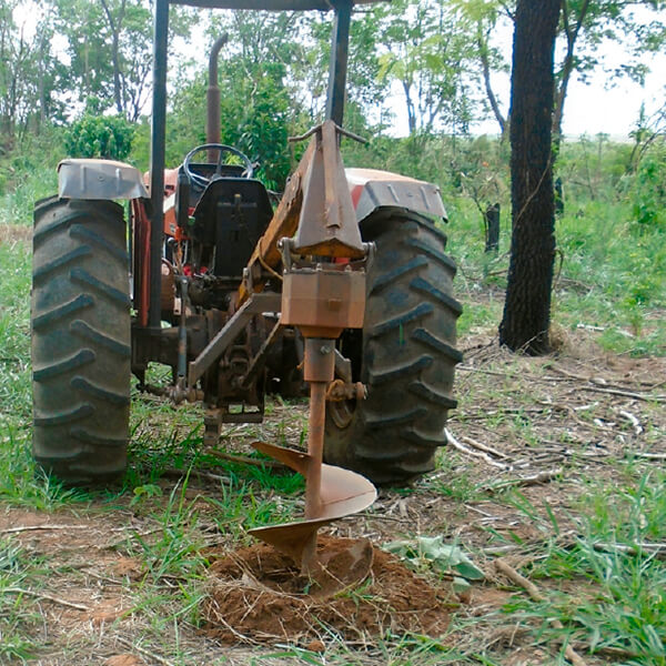 No viveiro municipal são produzidas mudas para serem utilizadas na arborização urbana, revegetação e recuperação ambiental.